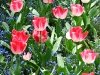 img_0732.jpg